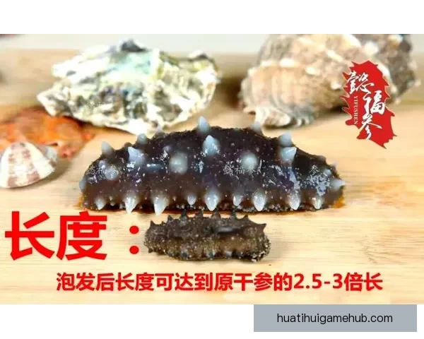 世界杯竞猜赛盘解析全面指南助你精准把握投注机会